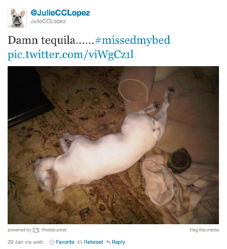 Illustration for article titled Mario Lopez's Dog Is a Total Douche Bag